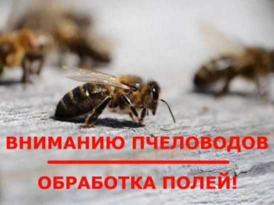 Оповещение пчеловодов об обработке фунгицидом  01 августа 2026 года.